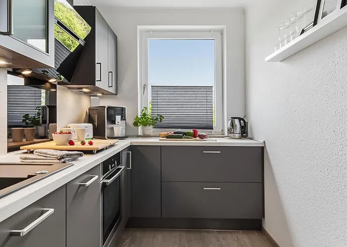 Wikingeck Schleiblick * Schleswig